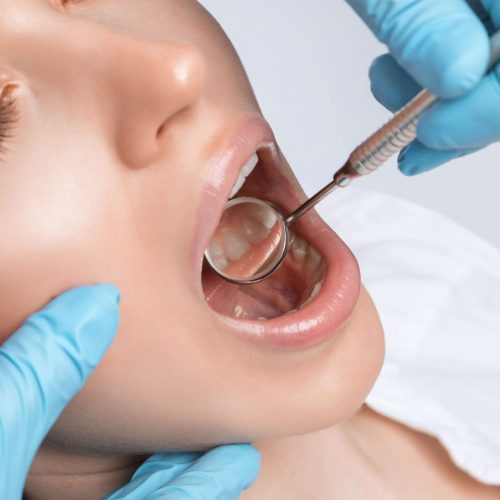 shutterstock_2185439175 (1)