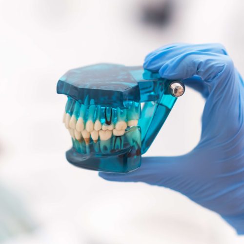 shutterstock_2290769383 (1)